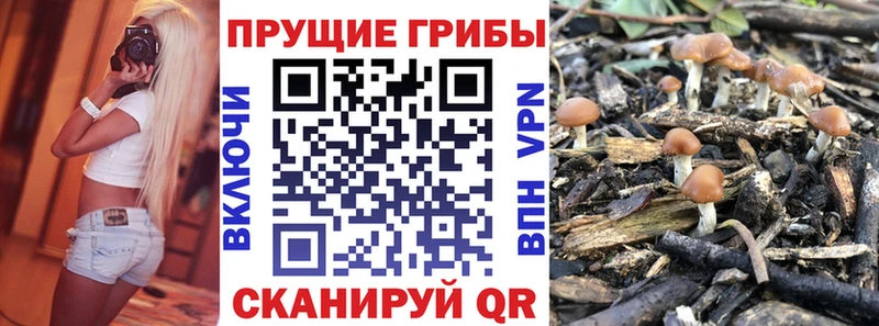 Псилоцибиновые грибы ЛСД  Купить закладки  Верхотурье 